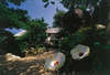 Baan Hin Sai Resort 